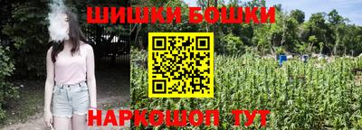 ПСИЛОЦИБИНОВЫЕ ГРИБЫ Краснознаменск