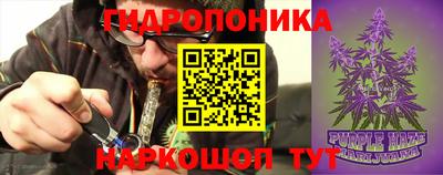 ПСИЛОЦИБИНОВЫЕ ГРИБЫ Краснознаменск